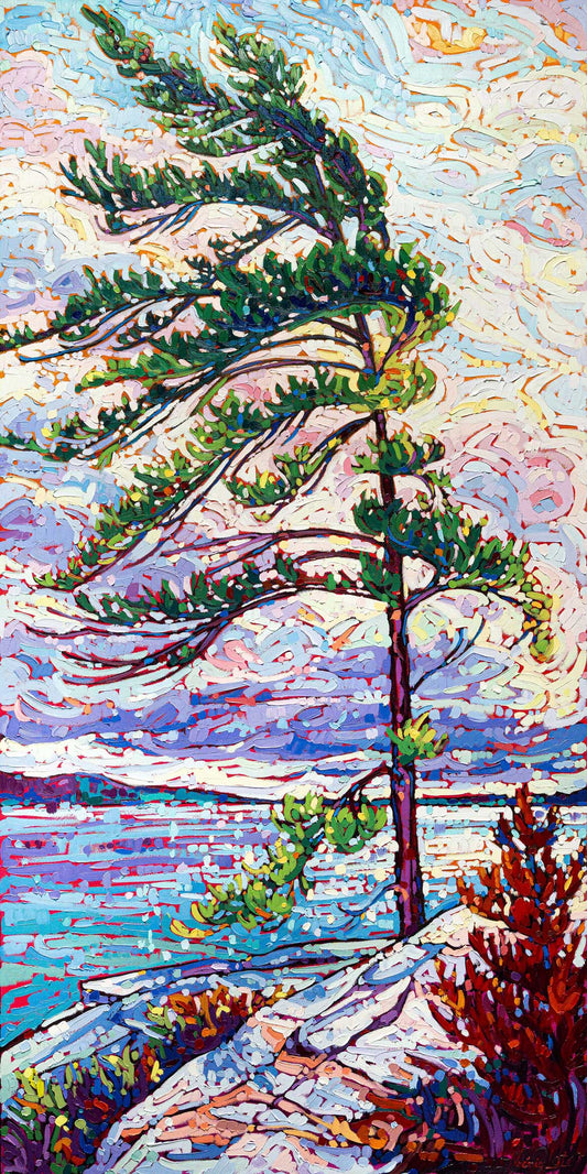 Windswept Pine 2