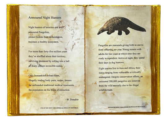 Armoured Night Hunter