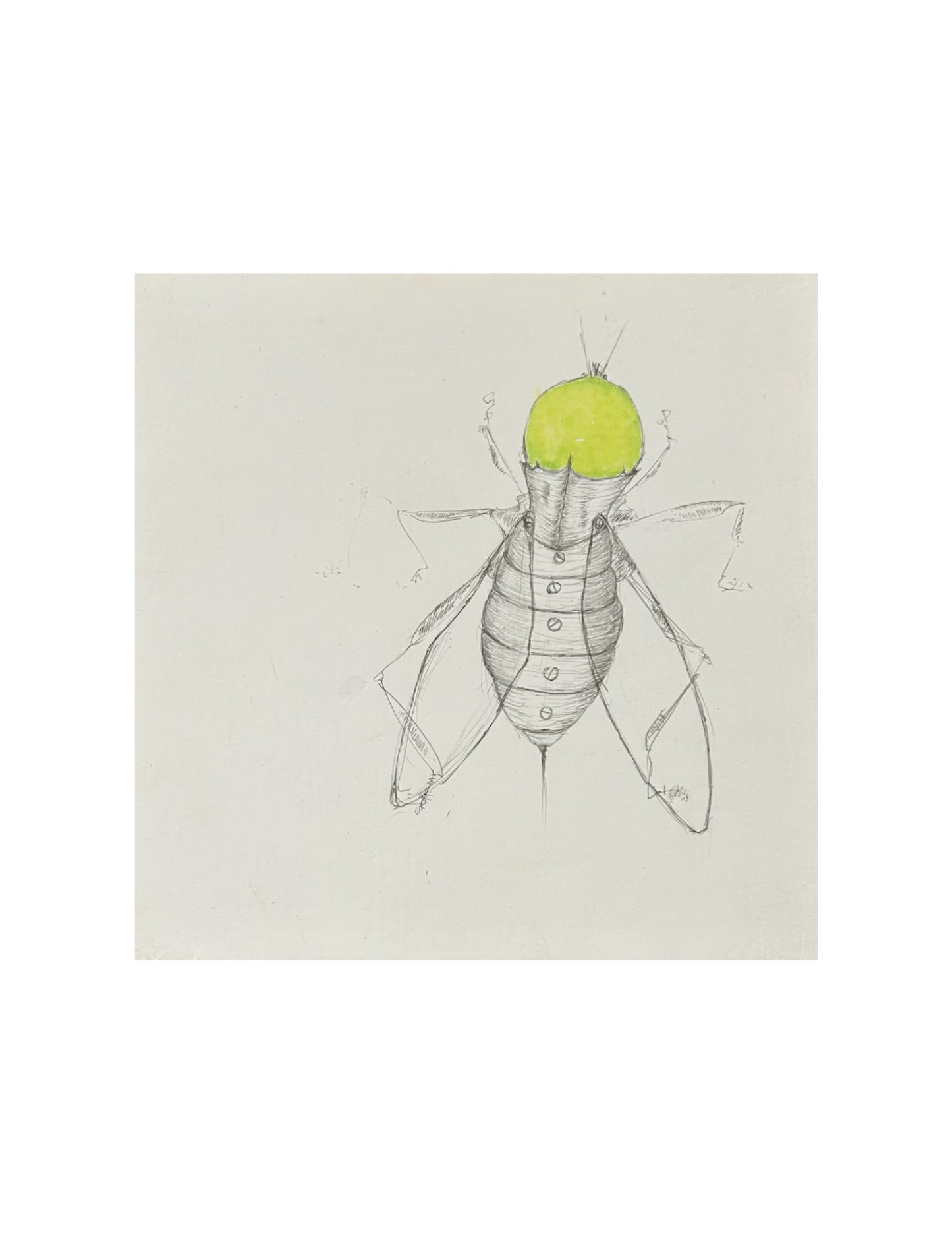 Greenbottle by Brendan Duggan