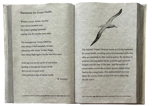 Barometer for the Ocean