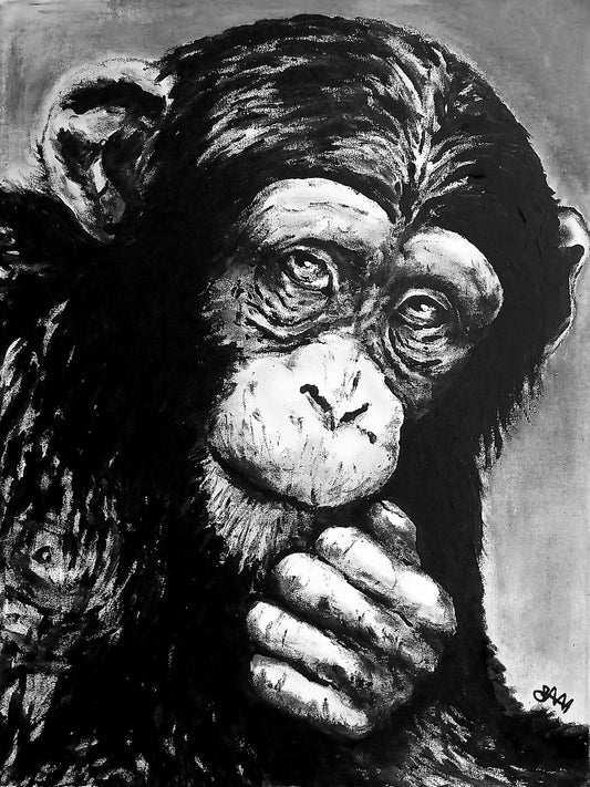 The Pondering Primate