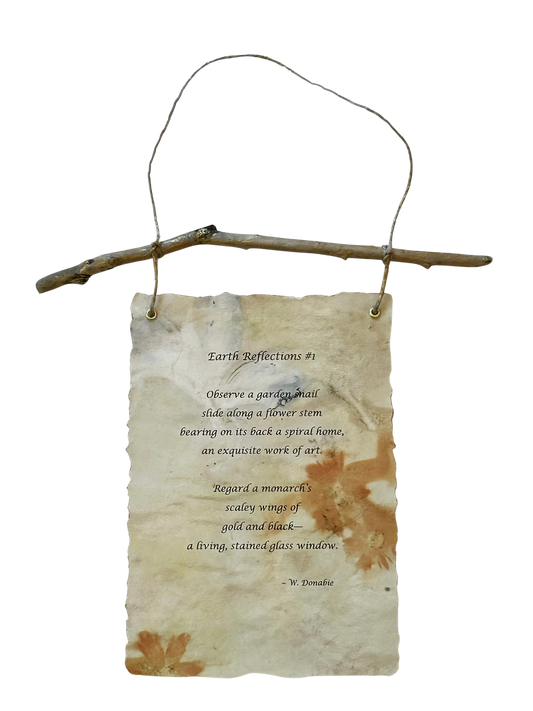 Earth Reflections #1