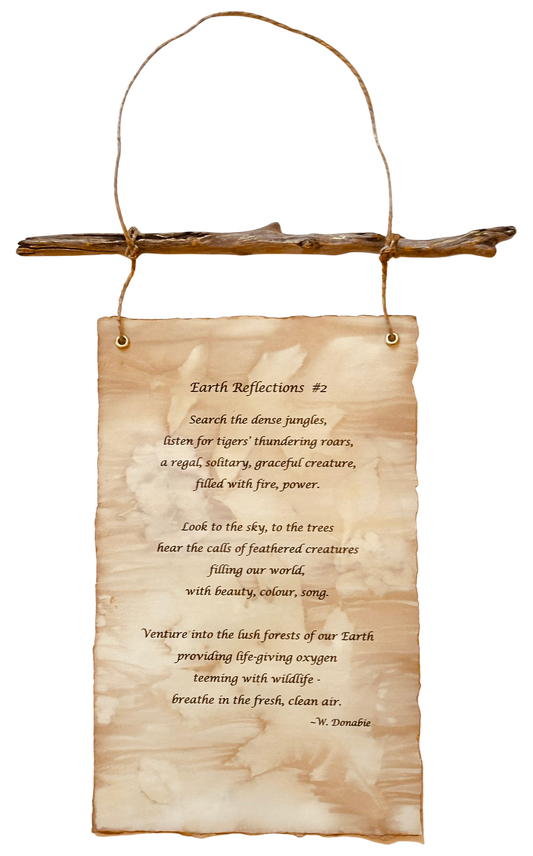 Earth Reflections #2