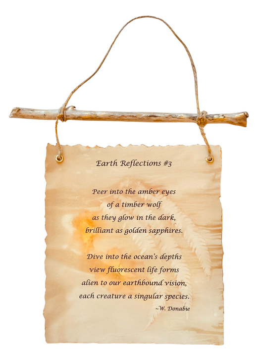 Earth Reflections #3