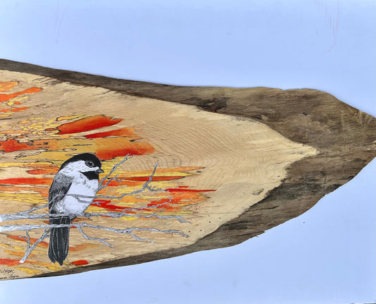 Fall Chickadee on Maple Quiet Time