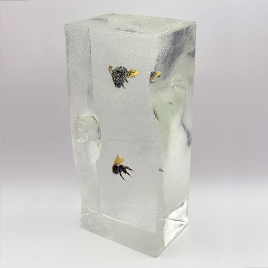 How We learn, B is for Bee