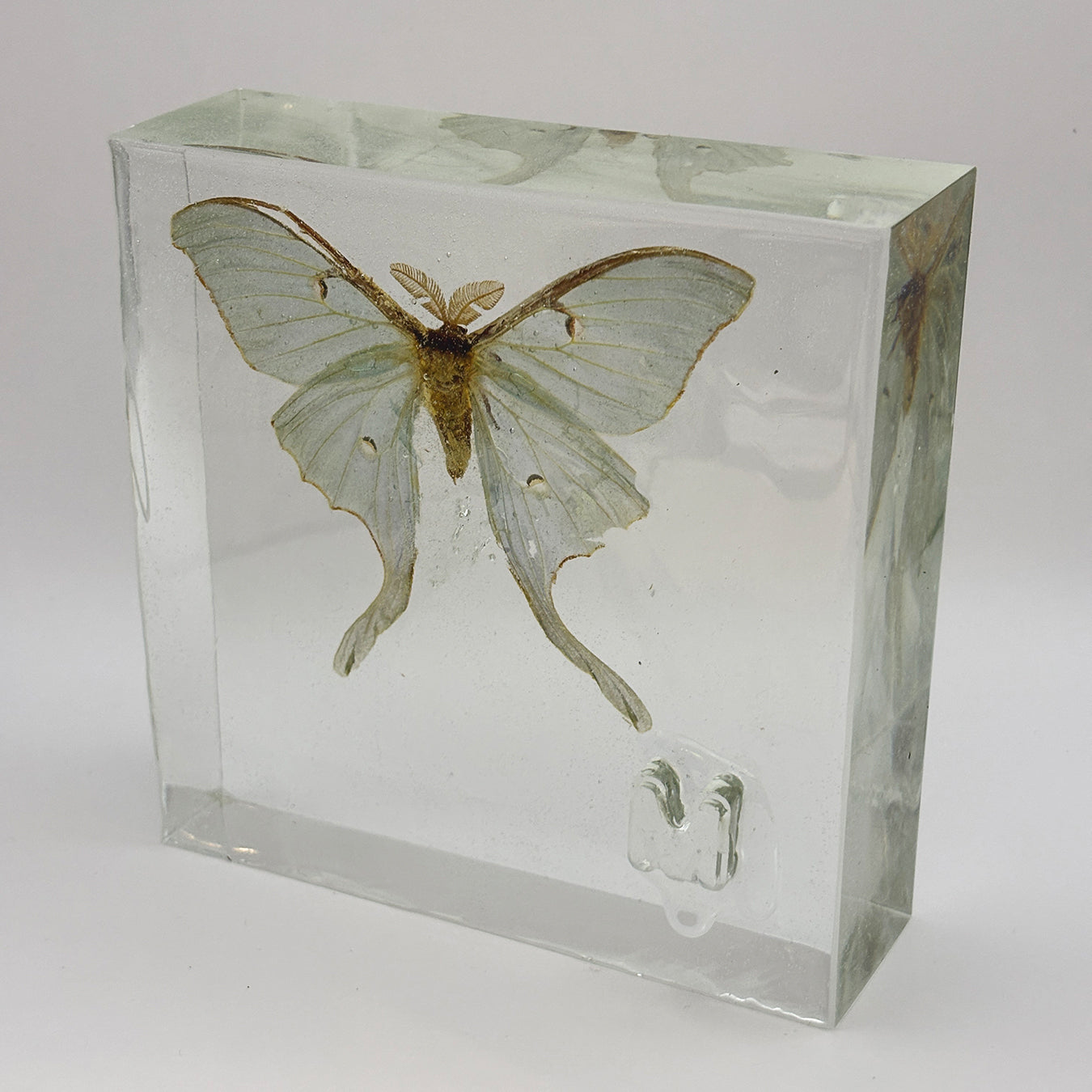 How We learn, M is for Moth