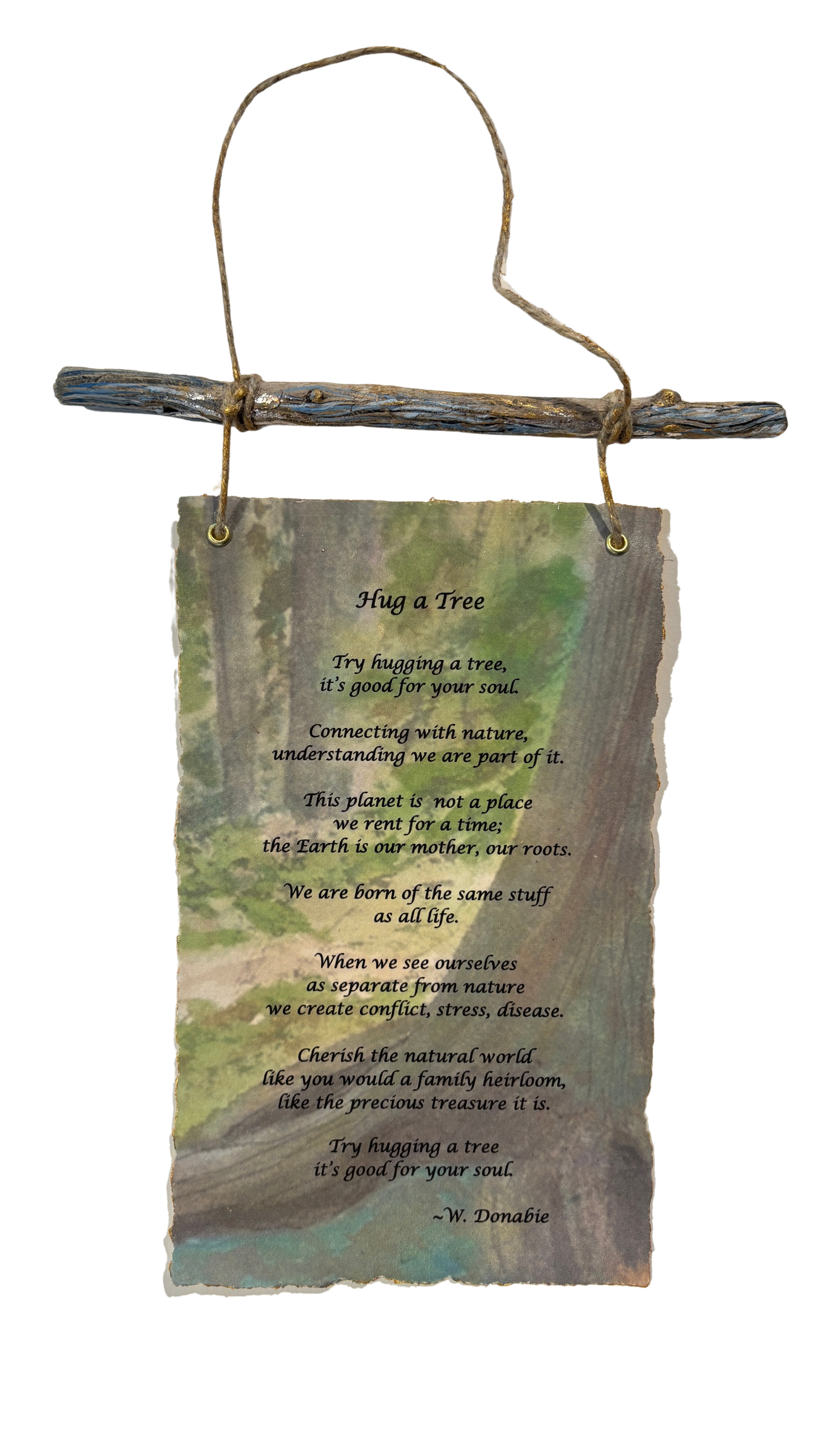 Hug a Tree