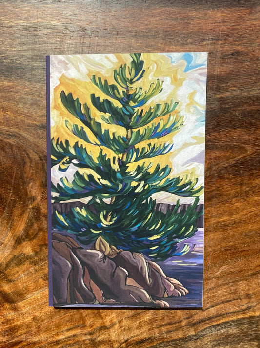 Small Journals by Lynda Flanagan