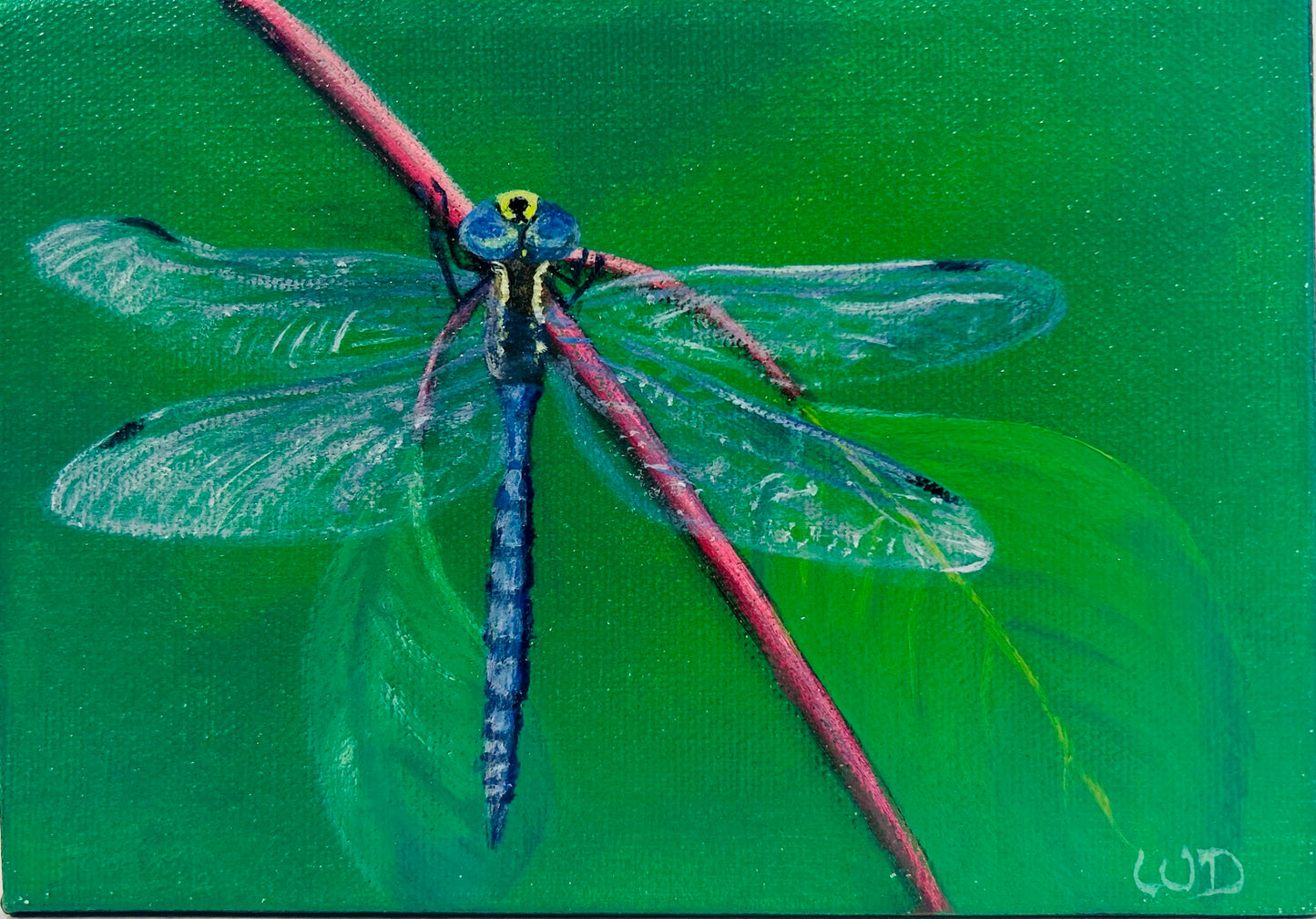 Dragonfly #16 | Variable Darner