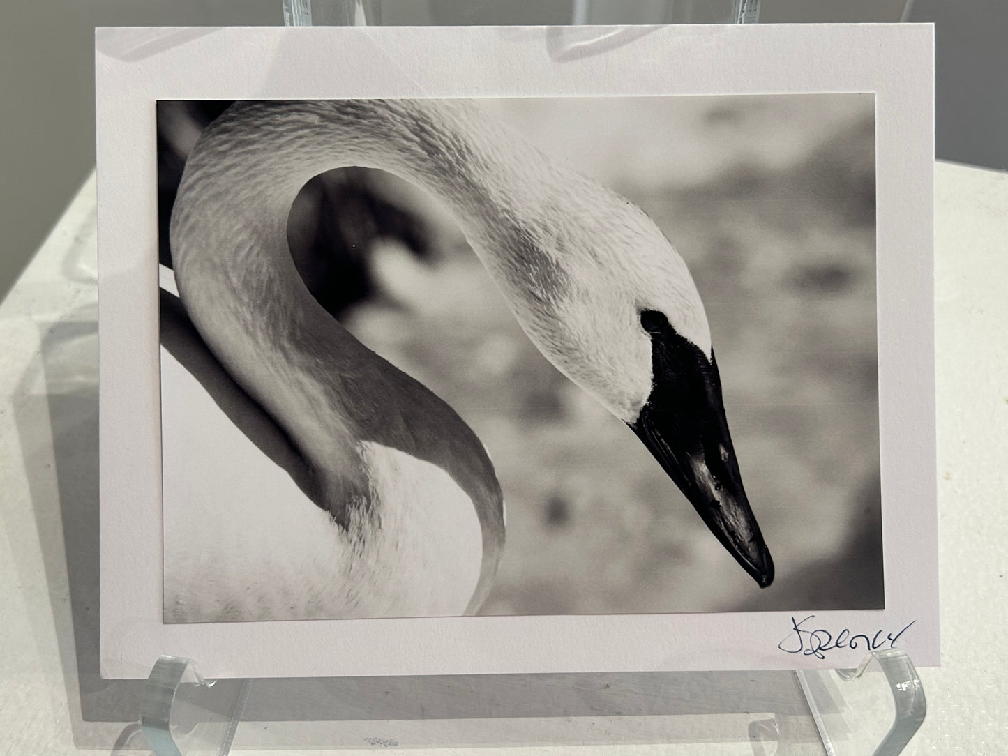 Photo Card by Jane Spencer