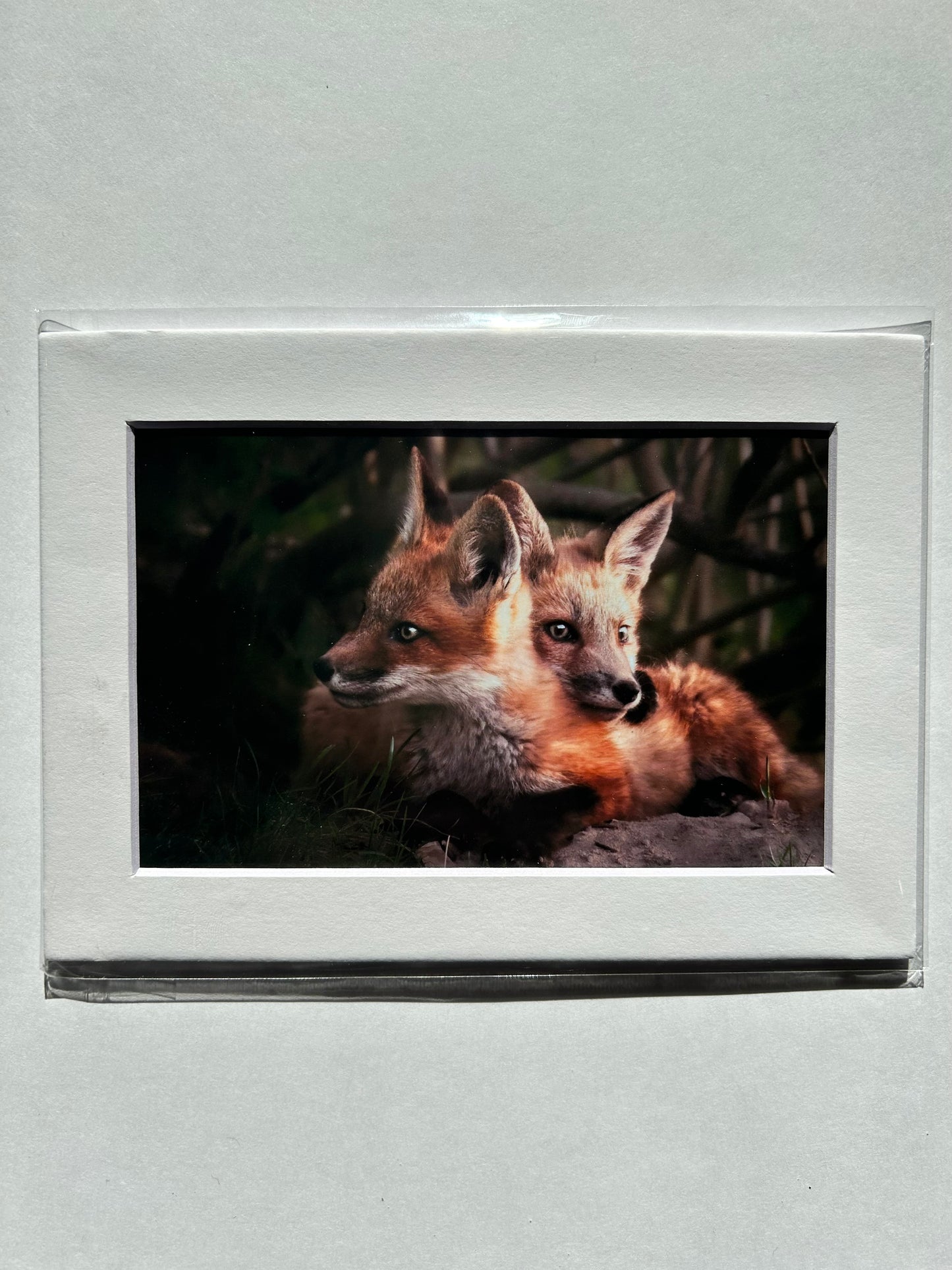 Lauren Todd Mini Prints
