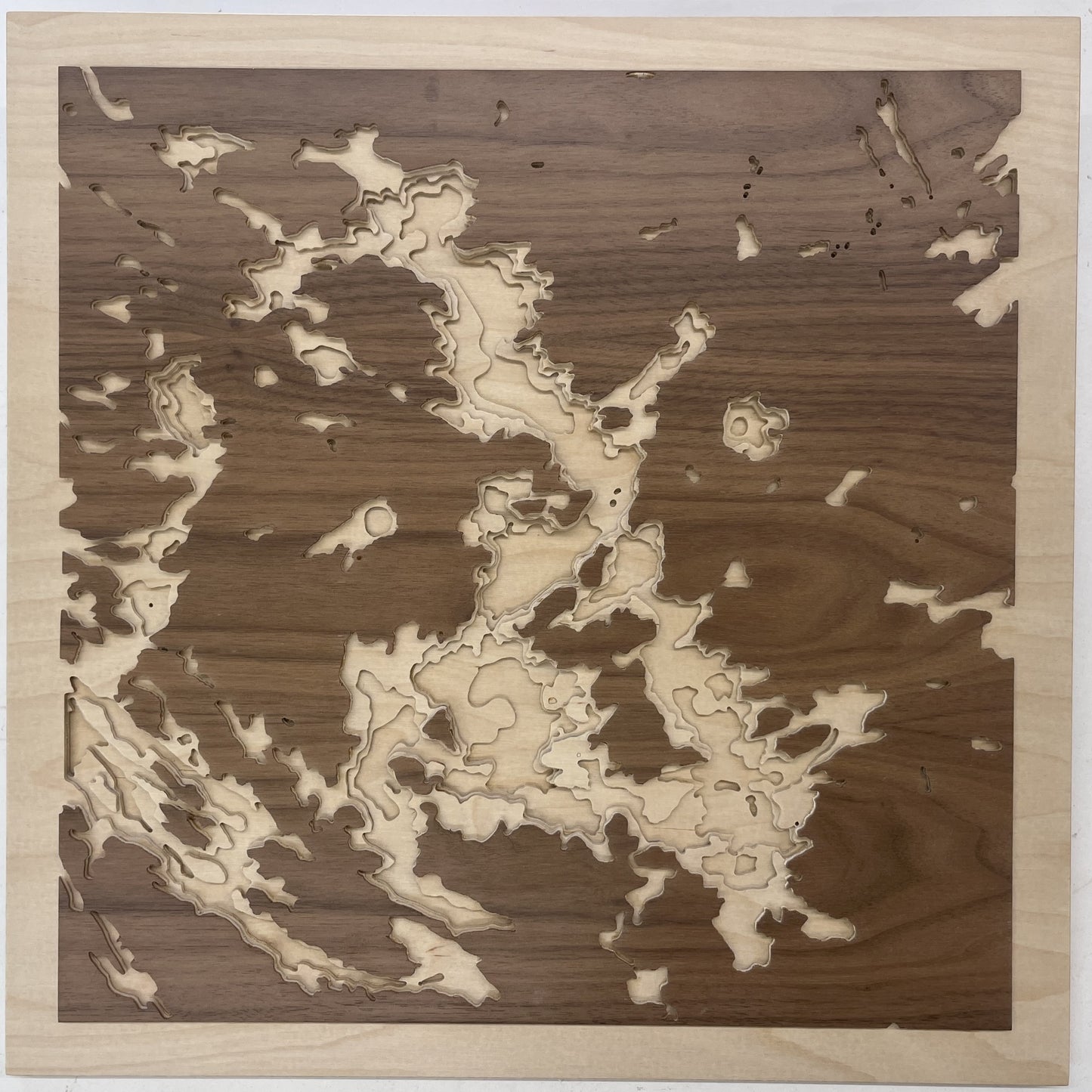 Lake Rosseau: Cove Map