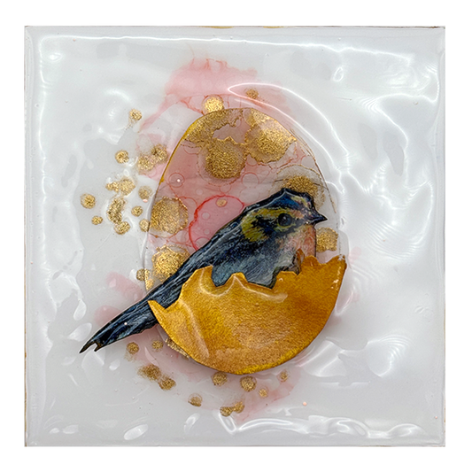 Life Ship - Bernian Warbler