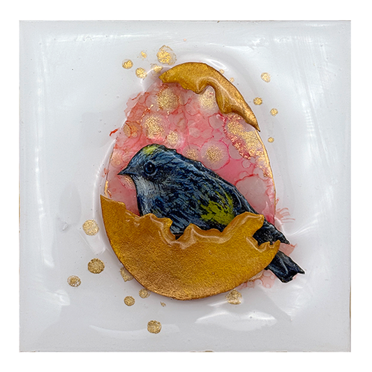 Life Ship - Myrtle Warbler