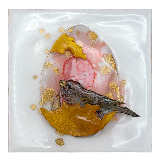 Life Ship - Red Poll