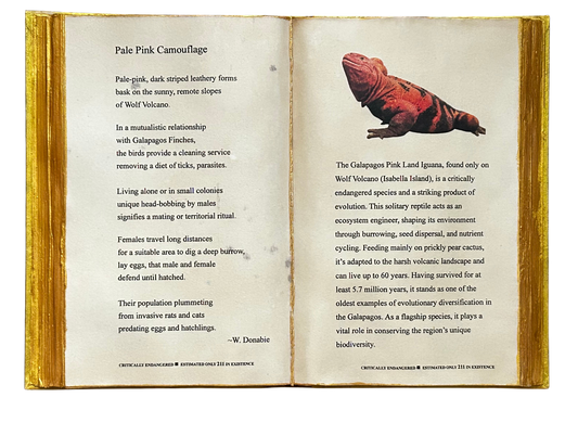 Pale Pink Camouflage