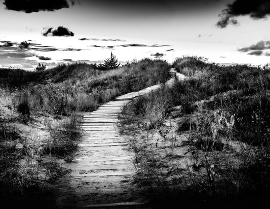 Path Through Dunes