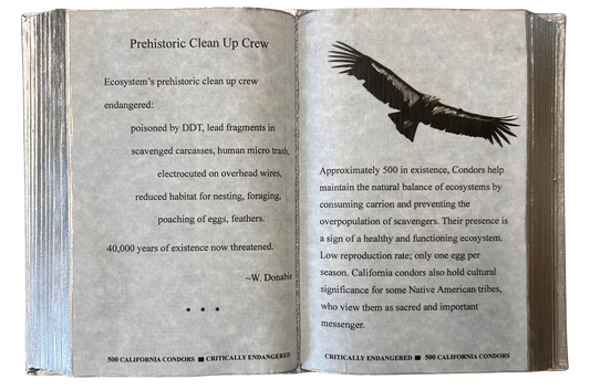 Prehistoric Cleanup Crew