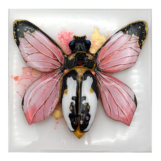 Speciman No 2: Obsidian Flamewing (Siam & Obsidian)