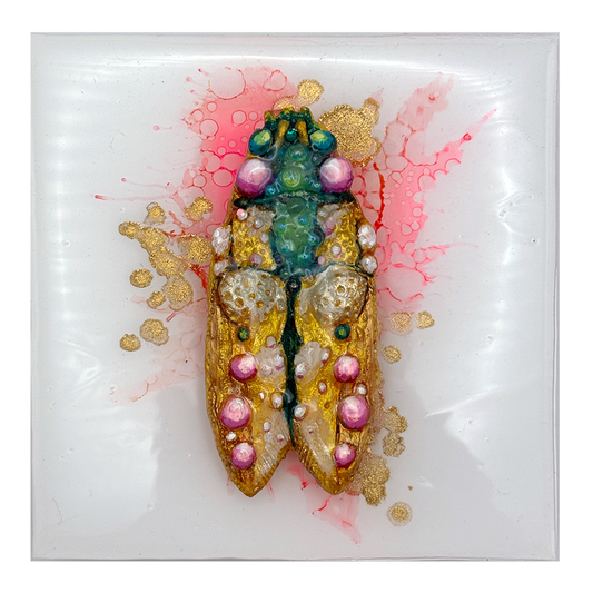 Speciman No 3: Aventurine Crownback  (Emerald & Green Aventurine)