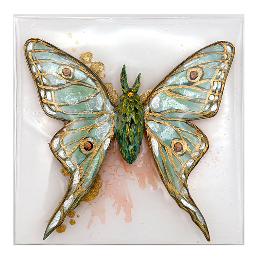 Specimen No. 8: Opal Mistwing  (Opal & Clear Quartz)