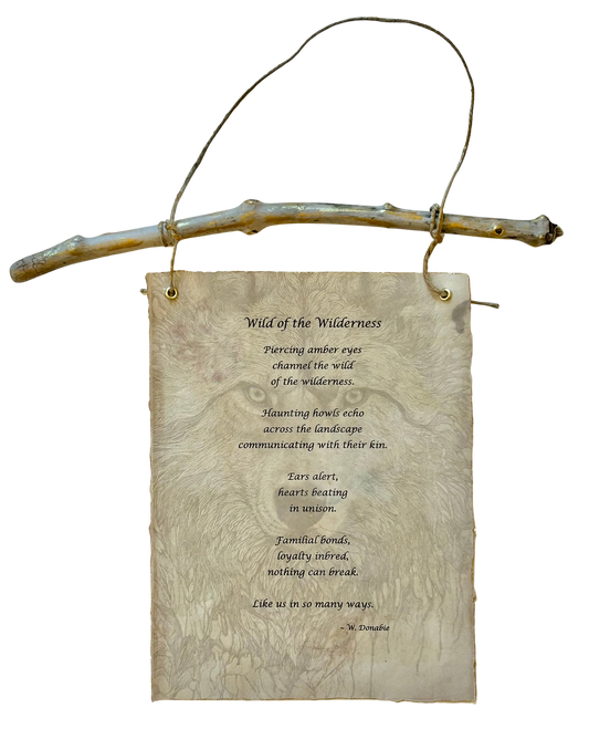 Wild of the Wilderness