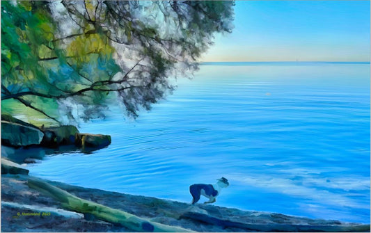 Carpa Diem:  Joy on the Beach