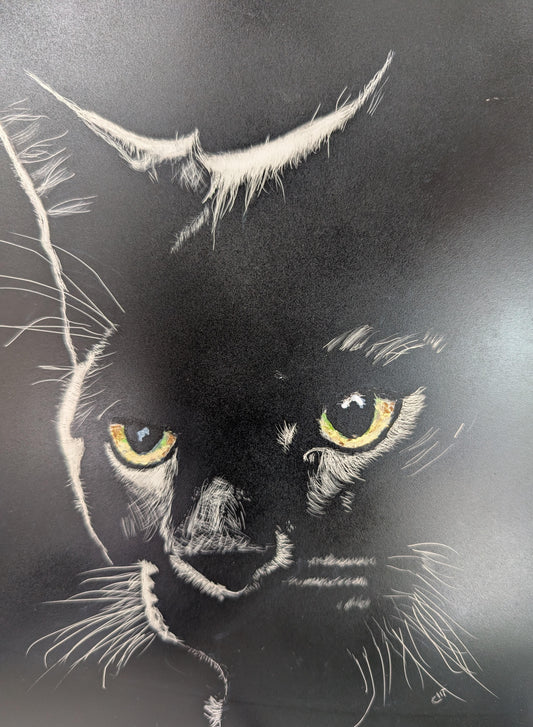 Black Cat