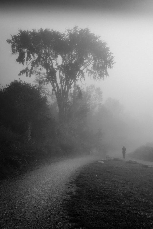 Walking in Fog