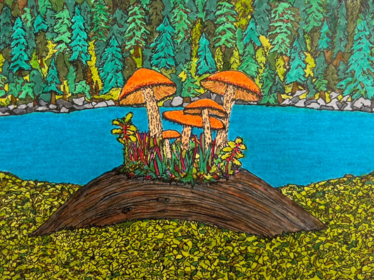 Shroom Bloom