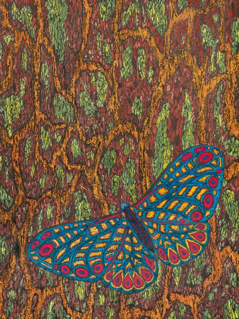 Butterfly On Bark