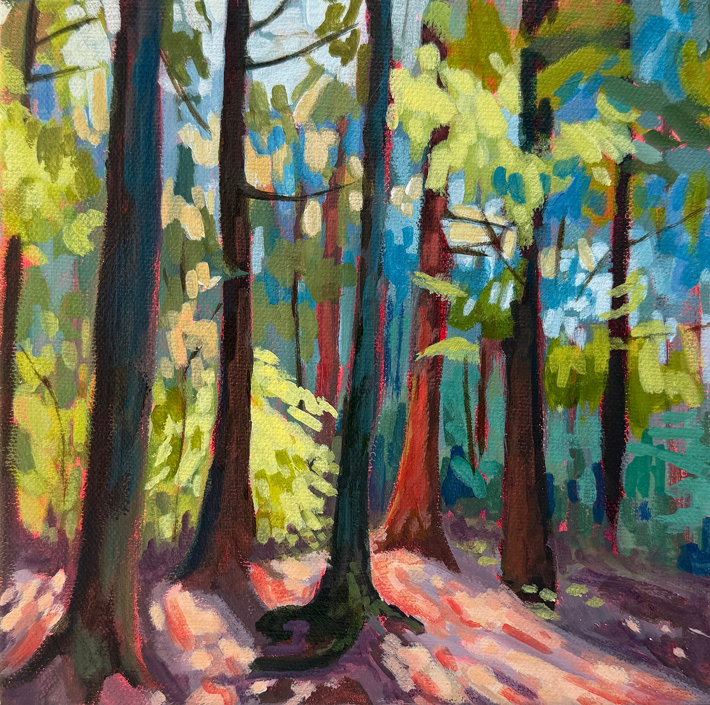 A Pause on the Trail