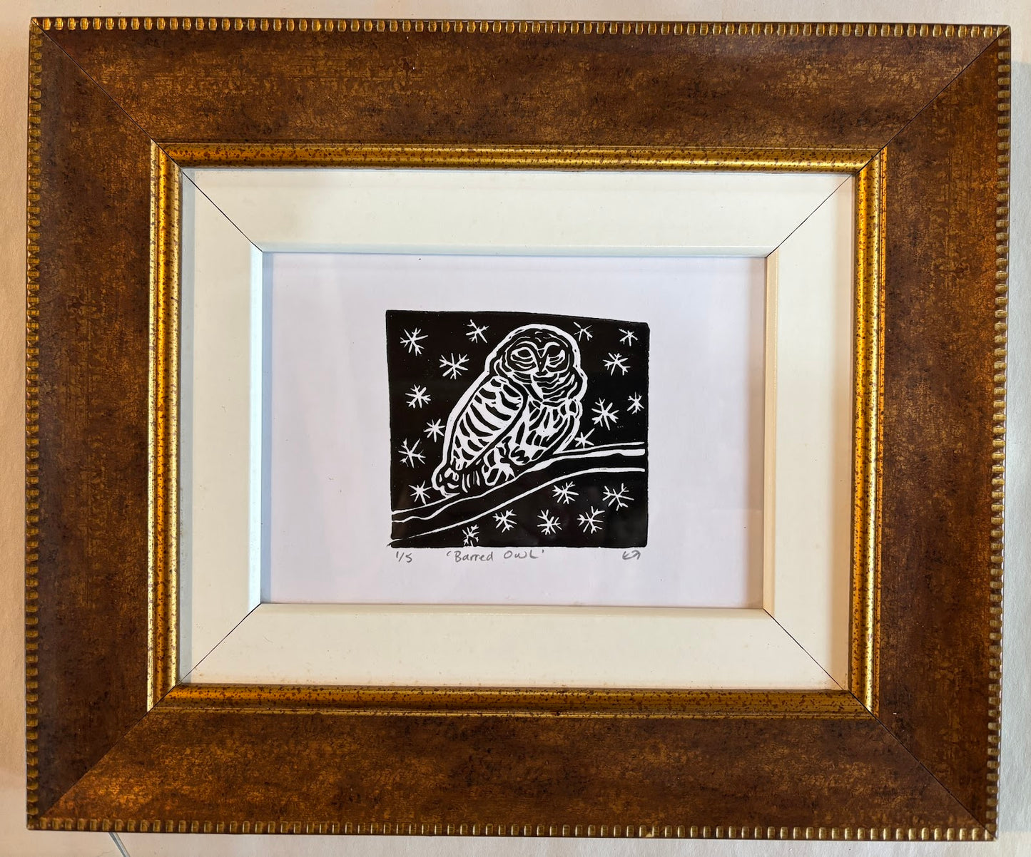 Barred Owl