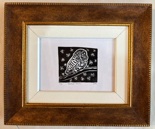 Barred Owl