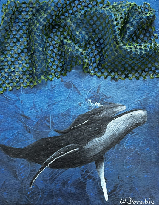 Beneath the Net