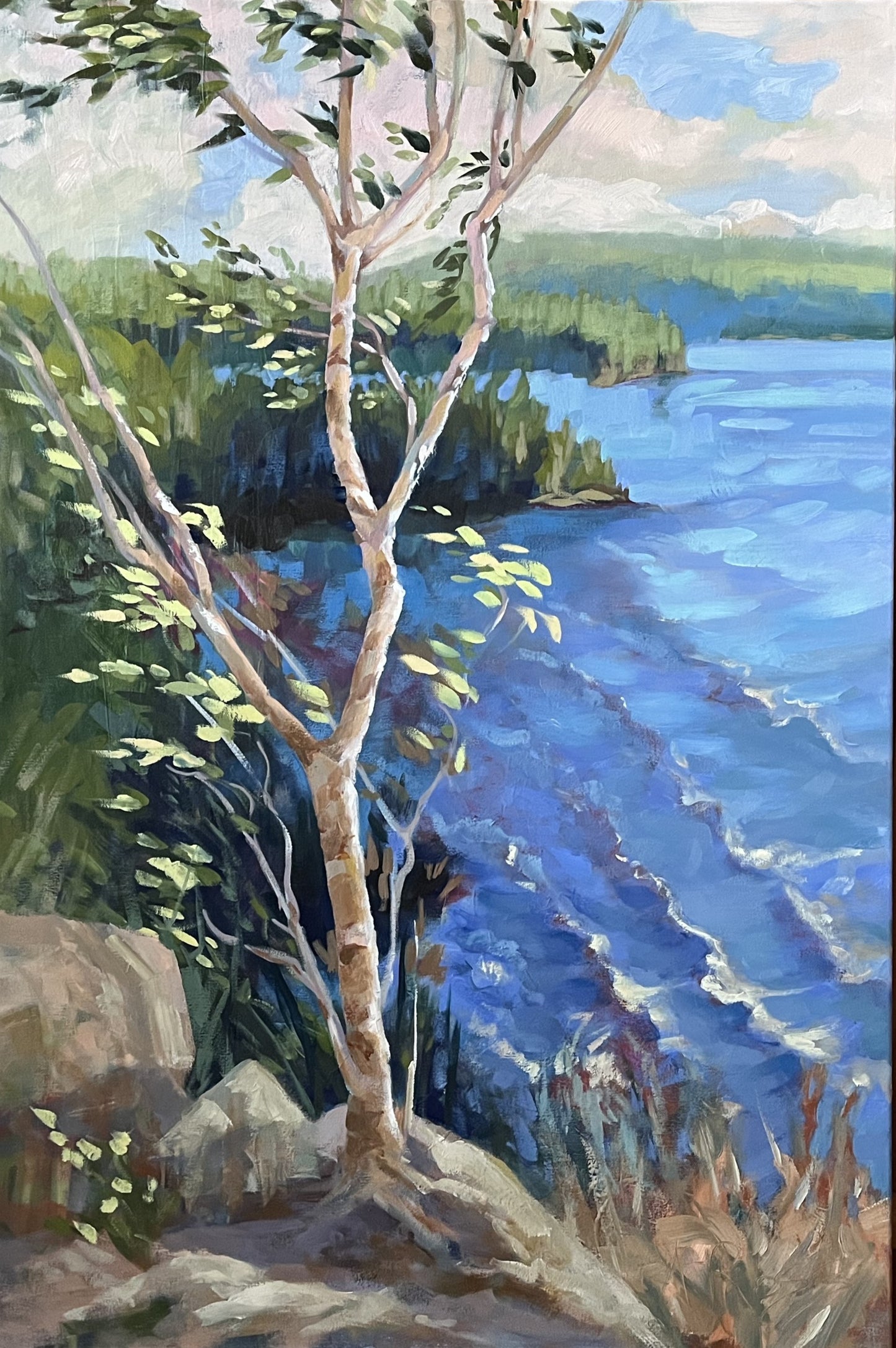 Birches on a Cliff