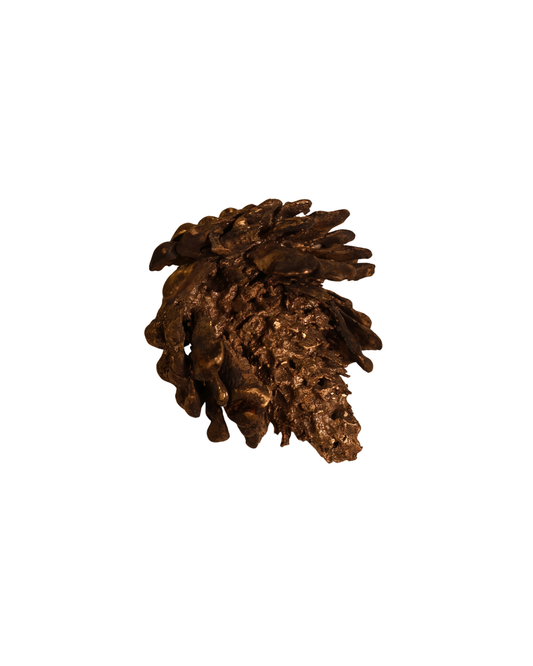 Bronze Australian Pinecone