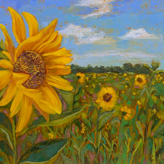 The Yellow Edge of Summer