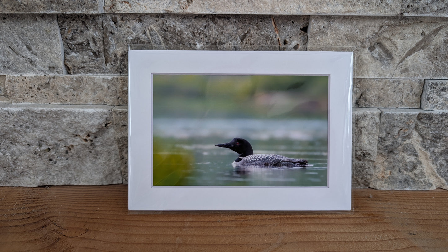 Cottage Companion