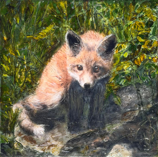 Curious Encounters