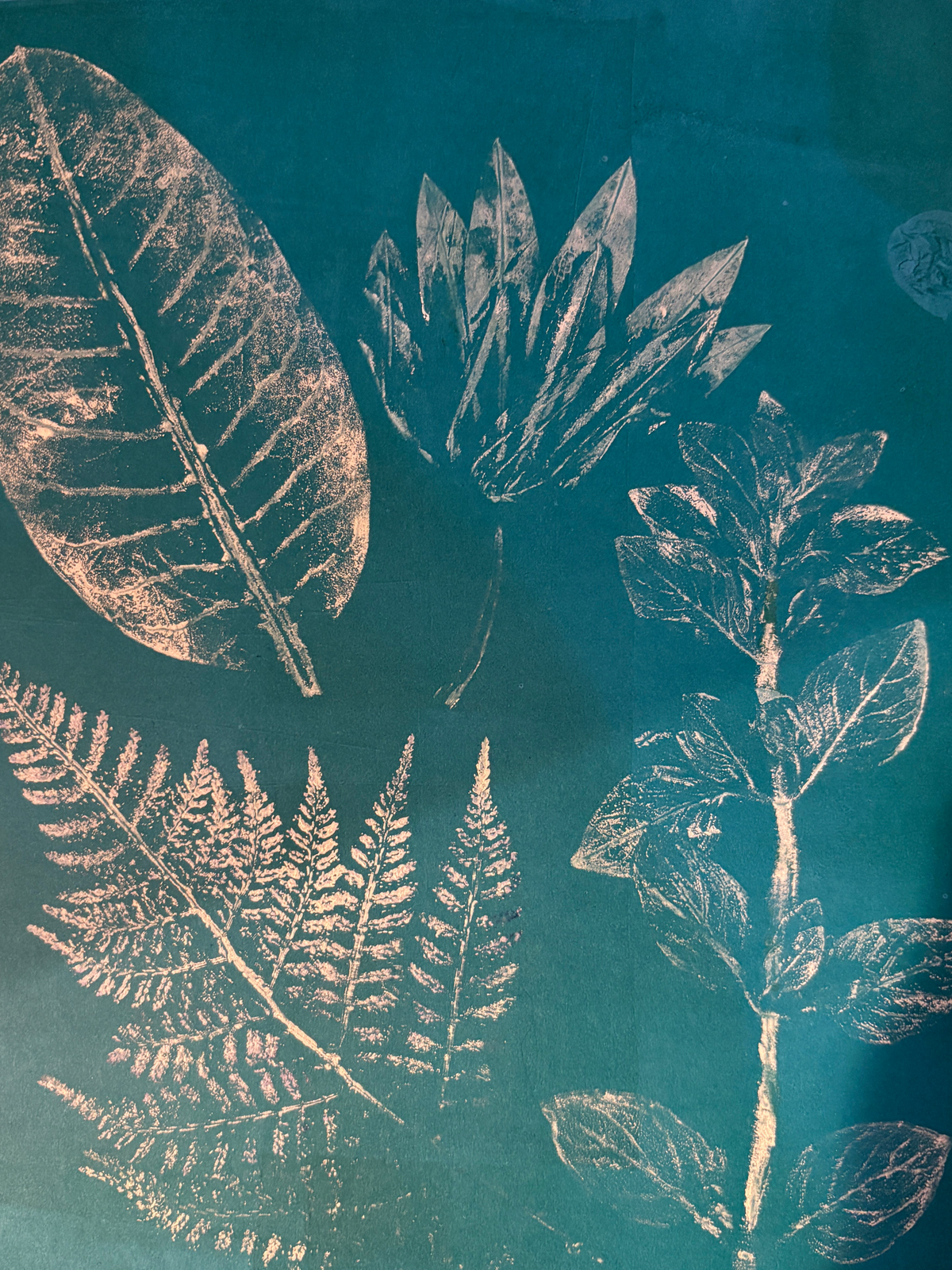 EXPLORE Monoprinting
