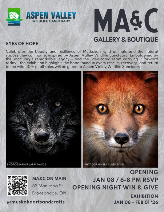 Eyes of Hope Exhibition opening Event