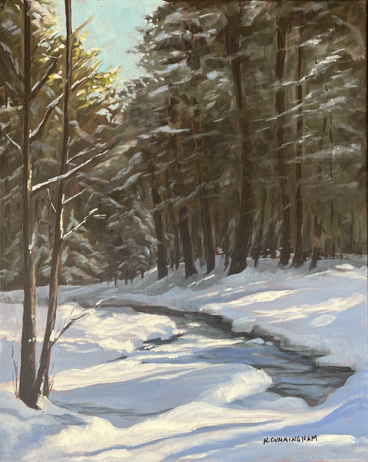 First Ski at Georgian Nordic