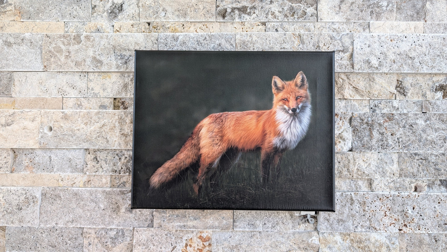 Flame in the Shadows