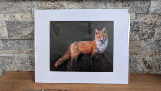 Flame in the Shadows