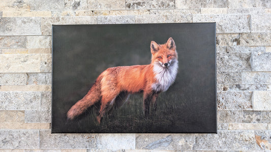 Flame in the Shadows