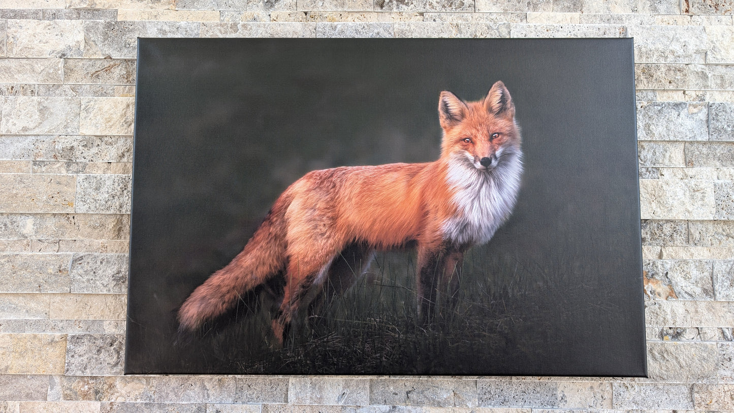 Flame in the Shadows