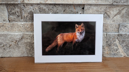 Flame in the Shadows