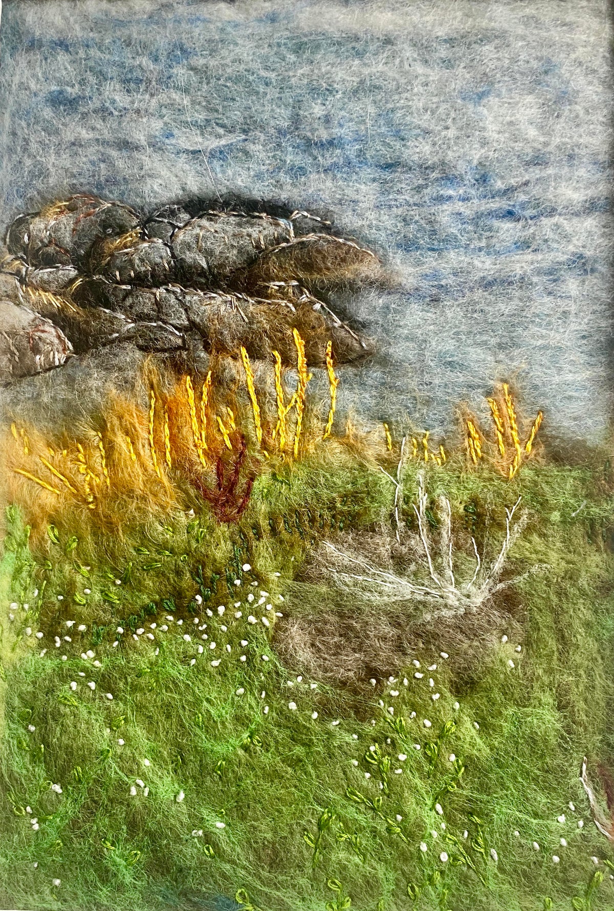Fogo Island Shoreline